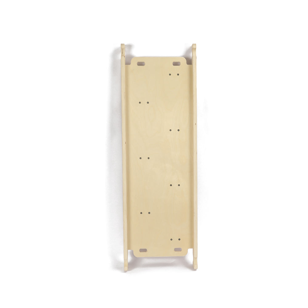 Climbing Ladder / Slide