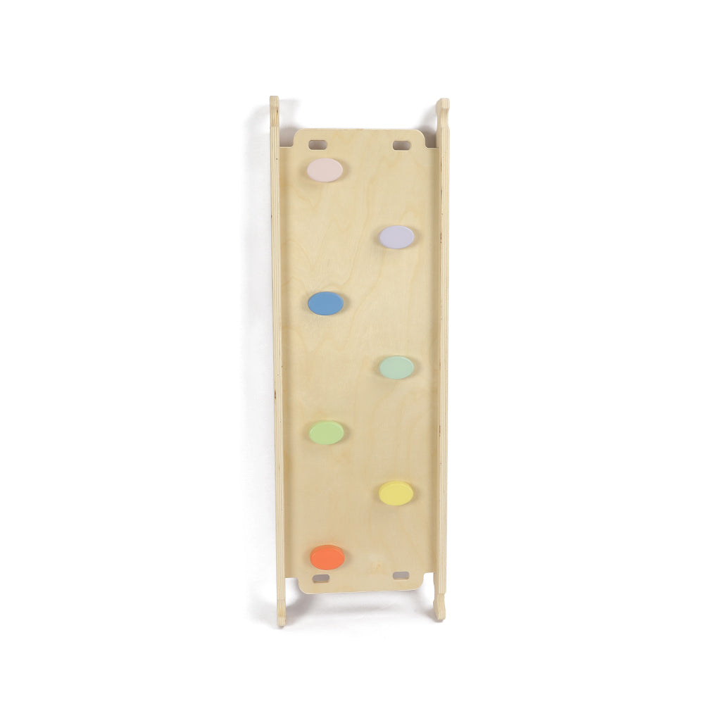 Climbing Ladder / Slide